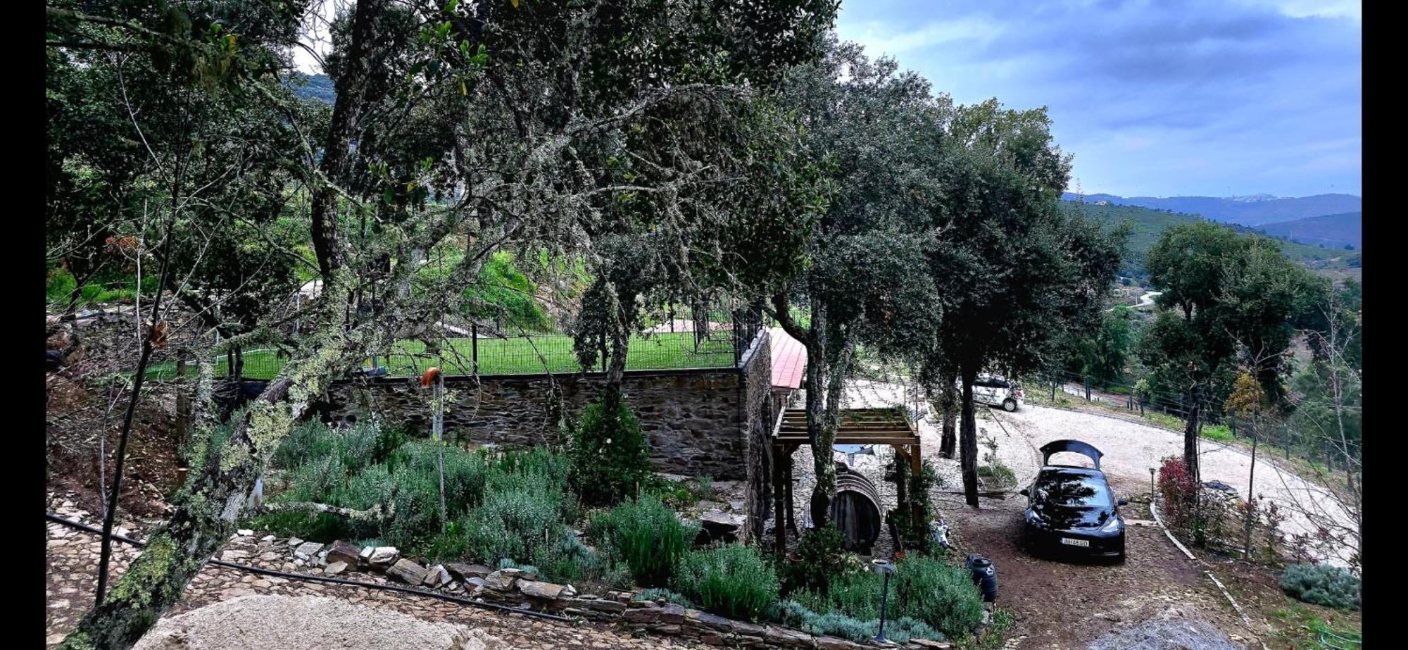 Casa Touriga Holiday home